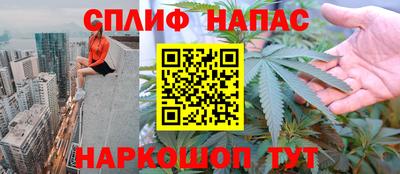 стафф Камышлов