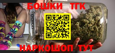 стафф Камышлов
