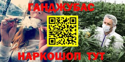 стафф Камышлов