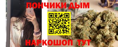 стафф Камышлов