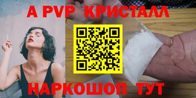 стафф Камышлов