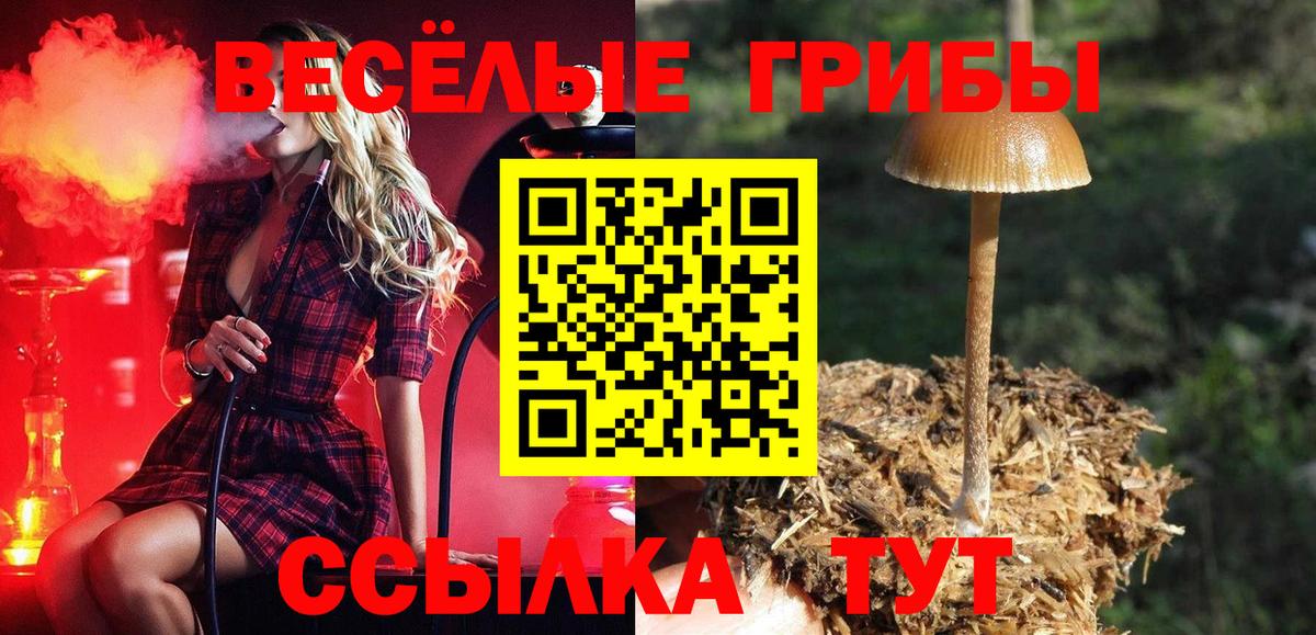 Галлюциногенные грибы GOLDEN TEACHER Киржач