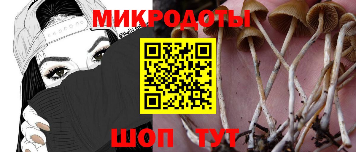 Псилоцибиновые грибы Psilocybe  закладка  Киржач  Вход с VPN 